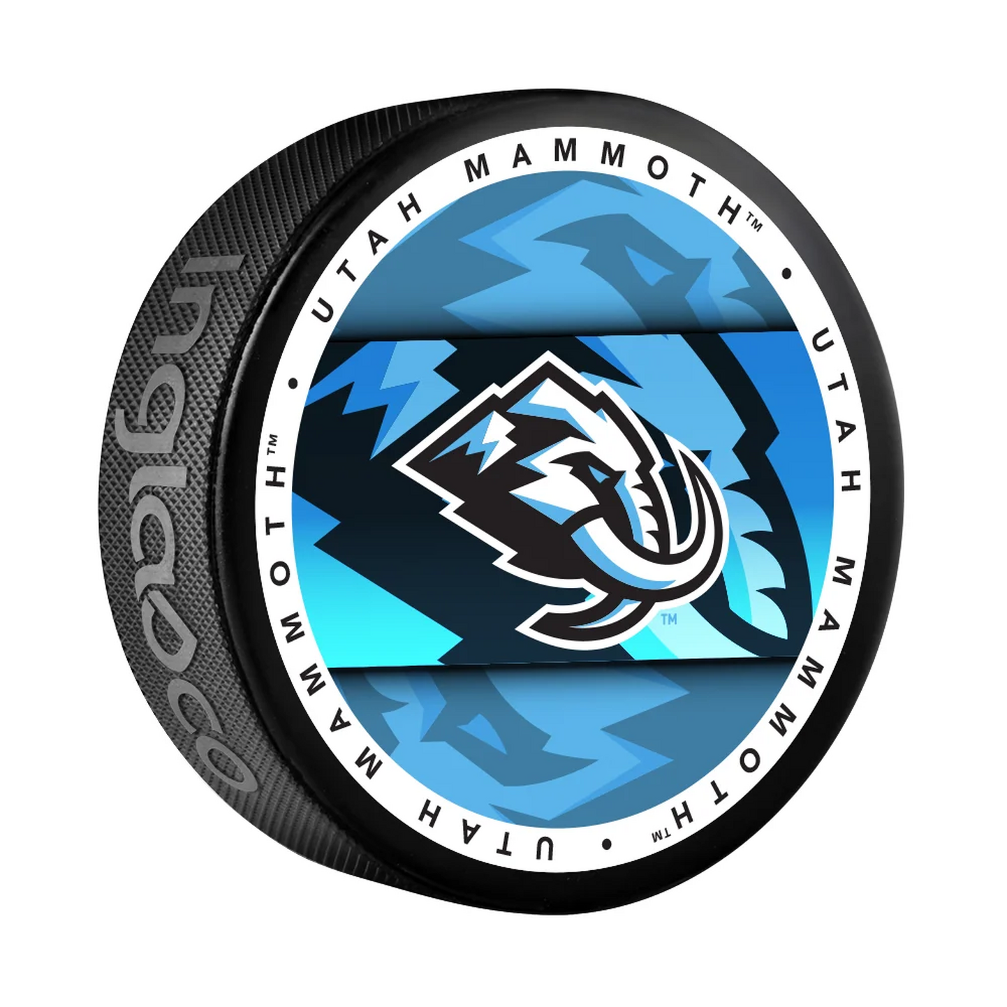 NHL-Puck-Medaillon Utah