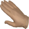 Gants Sagester 523