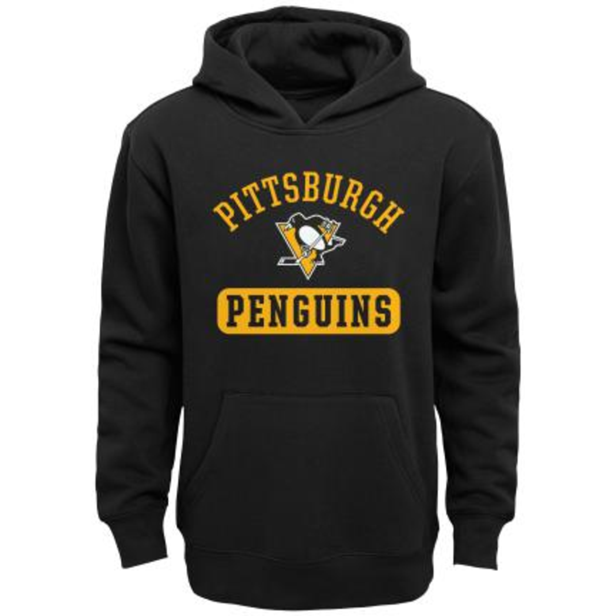 Hoodie NHL Banner JR Pittsburg