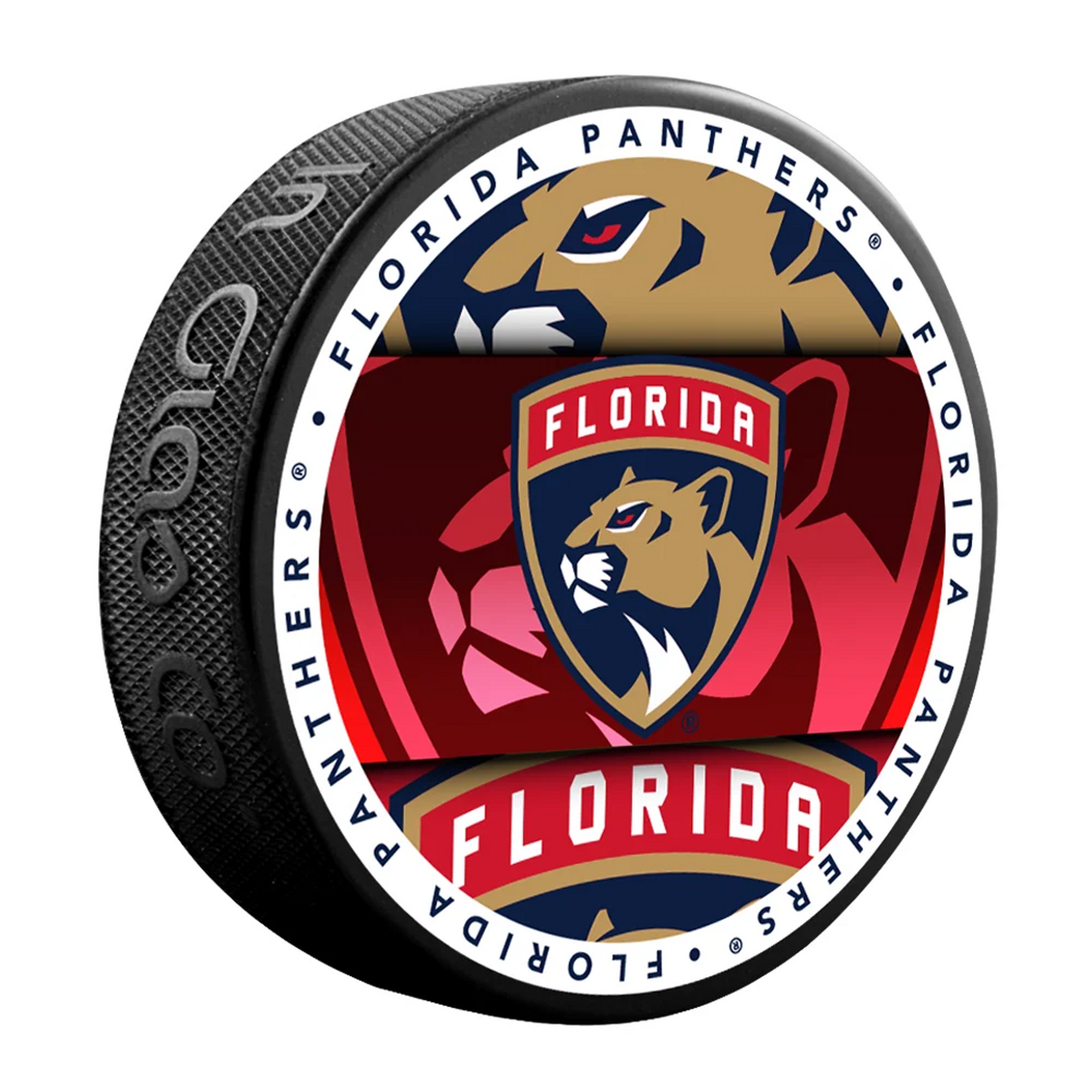 NHL Puck Medallion Florida